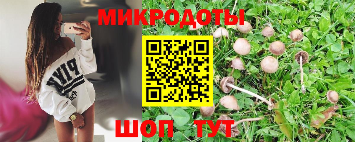 Богданович  Псилоцибиновые грибы Magic Shrooms  Вход с VPN 