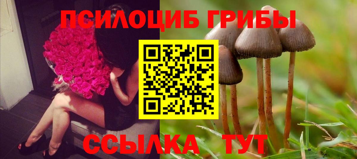 Галлюциногенные грибы прущие грибы Богданович